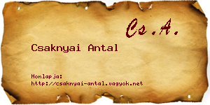 Csaknyai Antal névjegykártya
