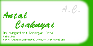antal csaknyai business card